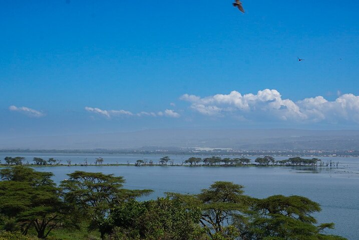 Explore Naivasha With Leshamara Safaris Transportation