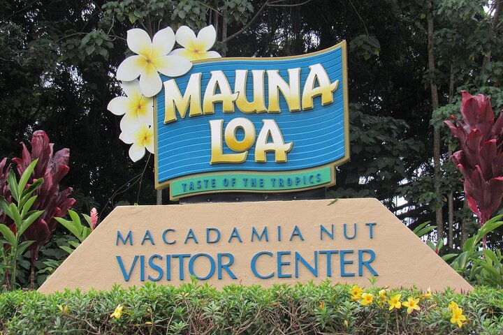 Hilo Shore Excursion: Volcanoes National Park & Black Sand Beach