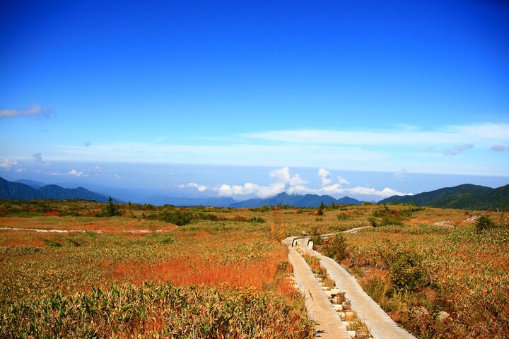 Kanazawa Day Tour: Shomyo Falls & Tateyama Mountain Walks