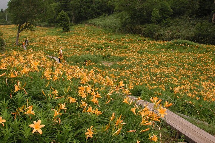 Kanazawa Day Tour: Shomyo Falls & Tateyama Mountain Walks