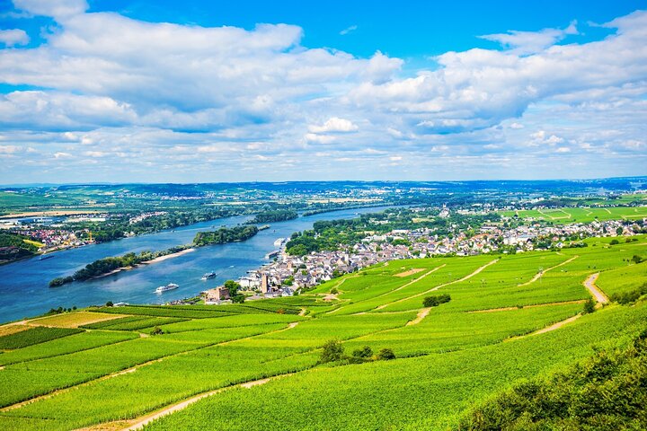 Private Day Trip from Frankfurt to the Rhine Valley