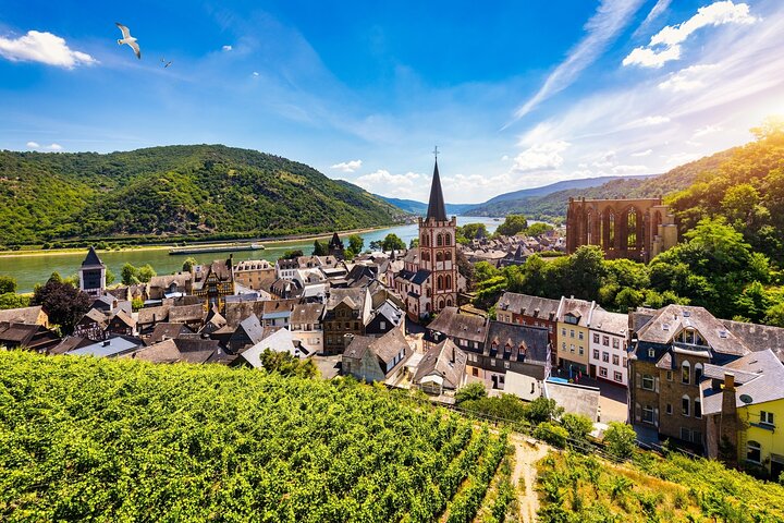 Private Day Trip from Frankfurt to the Rhine Valley