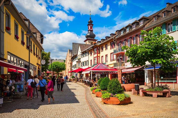 Private Day Trip from Frankfurt to the Rhine Valley