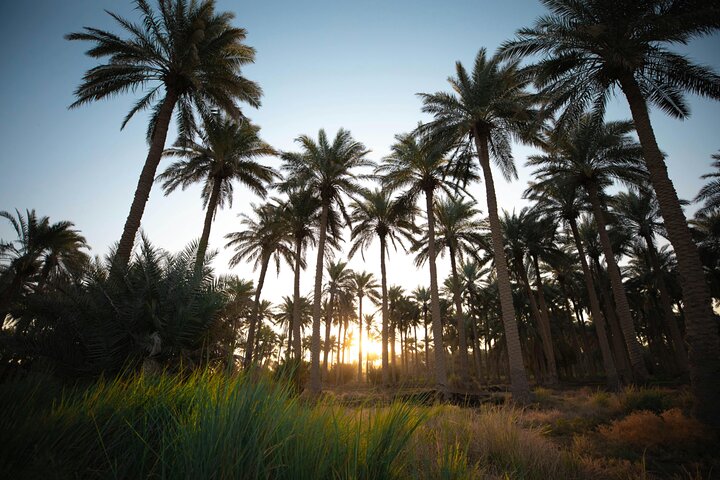 Muscat: Full-Day 4WD Tour to Nizwa, Jebel Akhdar & Birkat Al Mouz