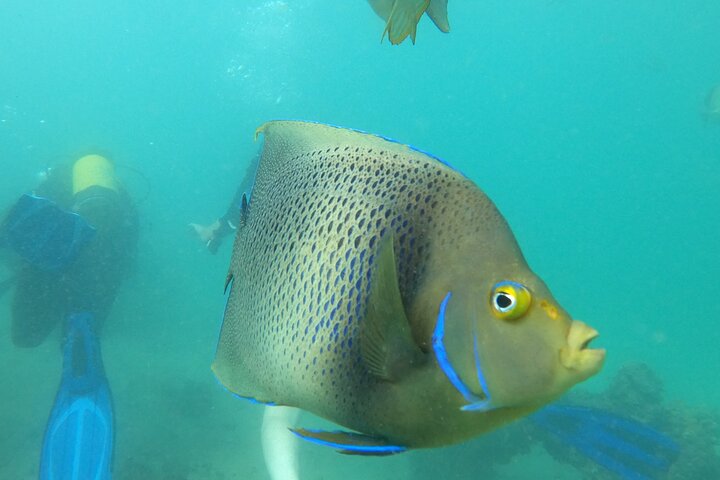 Half Day Creek Safari and Snorkeling Adventure in Mombasa