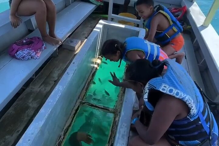 Half Day Creek Safari and Snorkeling Adventure in Mombasa