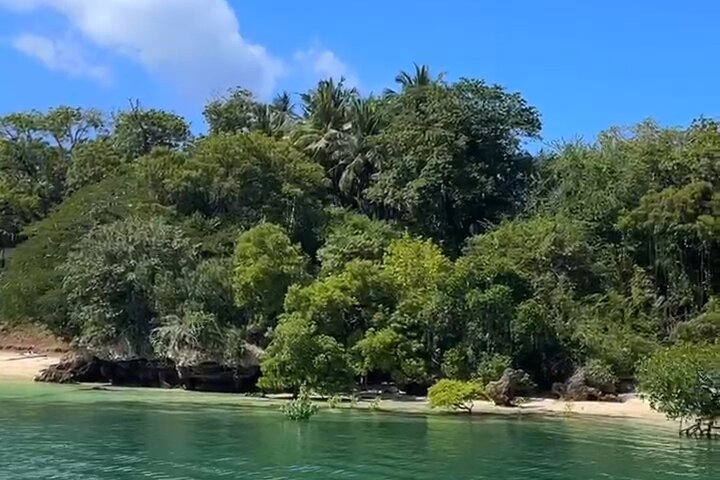 Half Day Creek Safari and Snorkeling Adventure in Mombasa