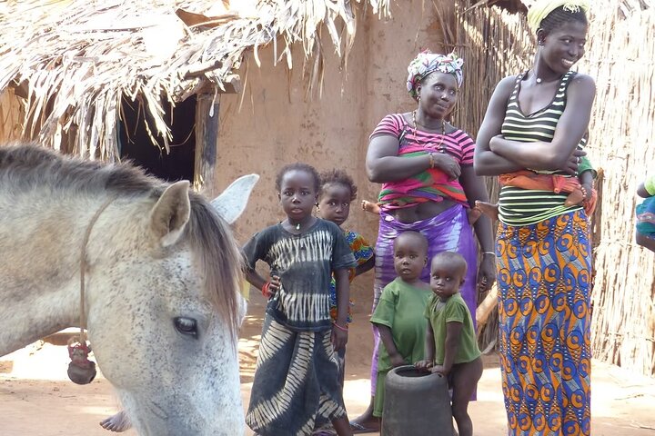 Overnight Georgetown Safari with Local Experiences