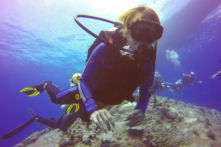 Dimaniyat Islands Snorkeling Tour