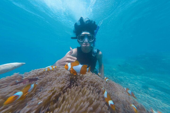 Dimaniyat Islands Snorkeling Tour