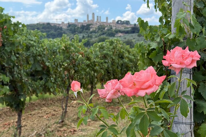 Family-Friendly Tuscany Day Tour for Wine Lovers and Non-Drinkers