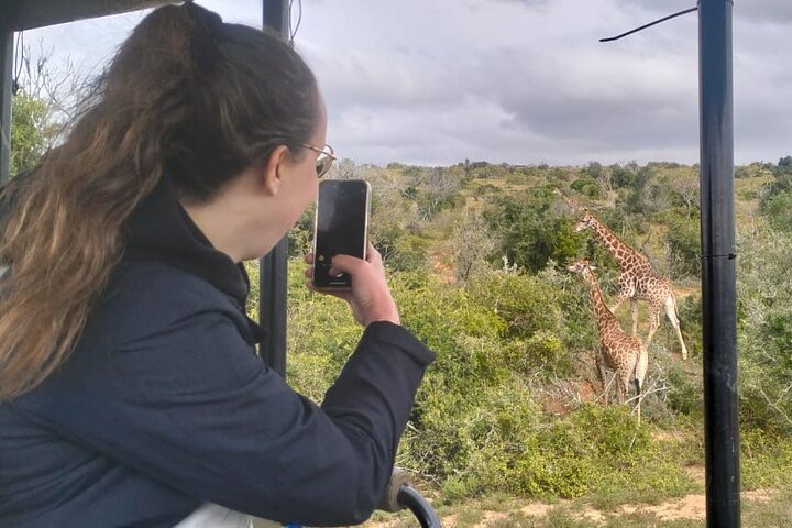 2 Day Schotia Safari Tour in Port Elizabeth