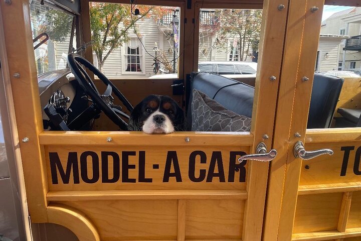 Historic Fredericksburg Tours in a open view 1920's Model-A Wagon