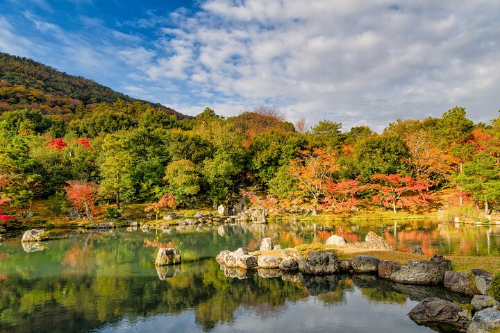 Osaka/Kyoto: Arashiyama, Fushimi Inari & Nara Park Day Trip