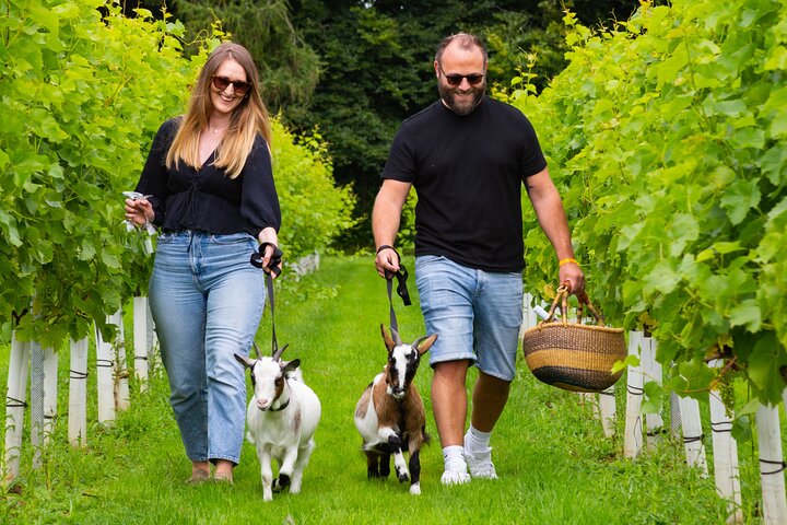 Pygmy Goat Walk