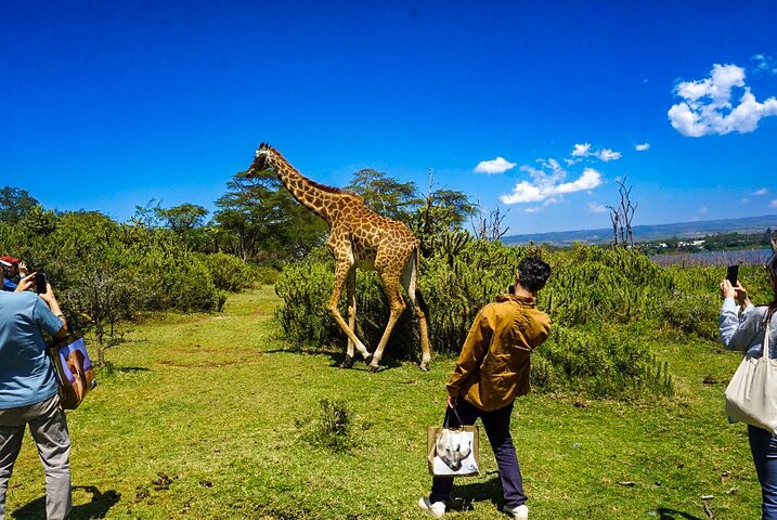 Explore Naivasha With Leshamara Safaris Transportation