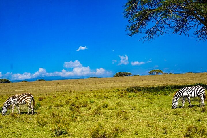 Explore Naivasha With Leshamara Safaris Transportation