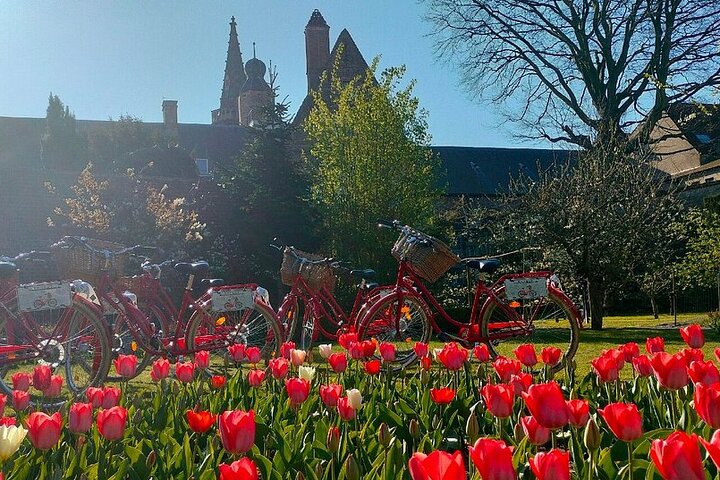 Bruges Guided Retro Biketour: Highlights, Hidden Gems & Tasting