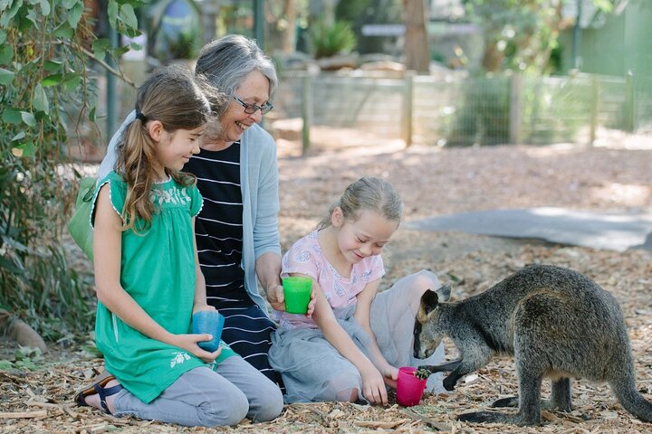 Blue Mountains Scenic World & Scenic Zoo Day Tour