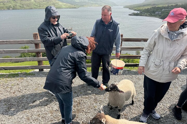 Private Day Tour Cliffs of Moher & The Burren Experience
