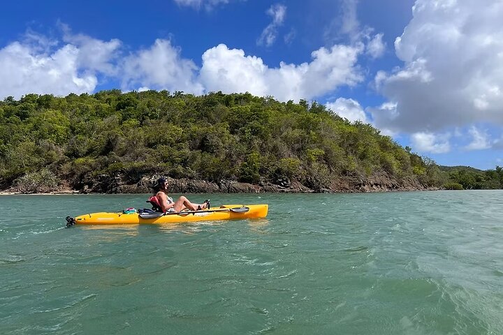 Guided Kayak Tour of Salt River Bay Ecology and History