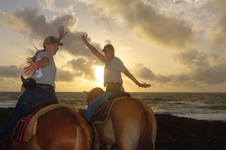 Aruba Ecological & Coastline Horseback Ride with Beach Photo Stop