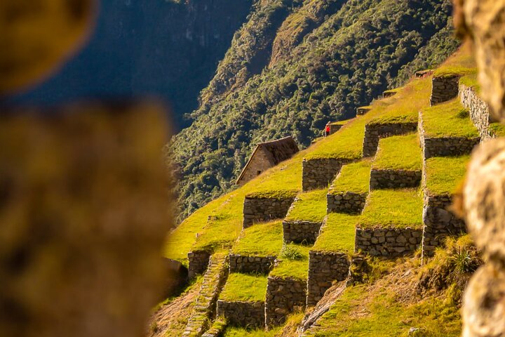 Machu Picchu Entrance Ticket Official Circuits