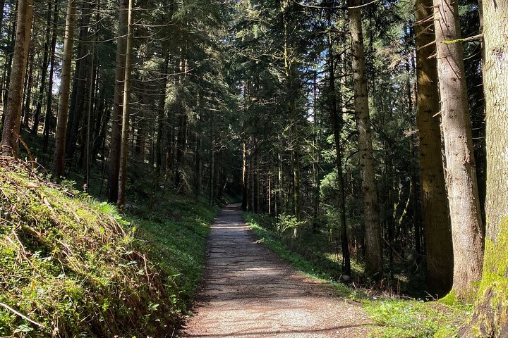 Private Eagle’s Nest E-Bike Tour