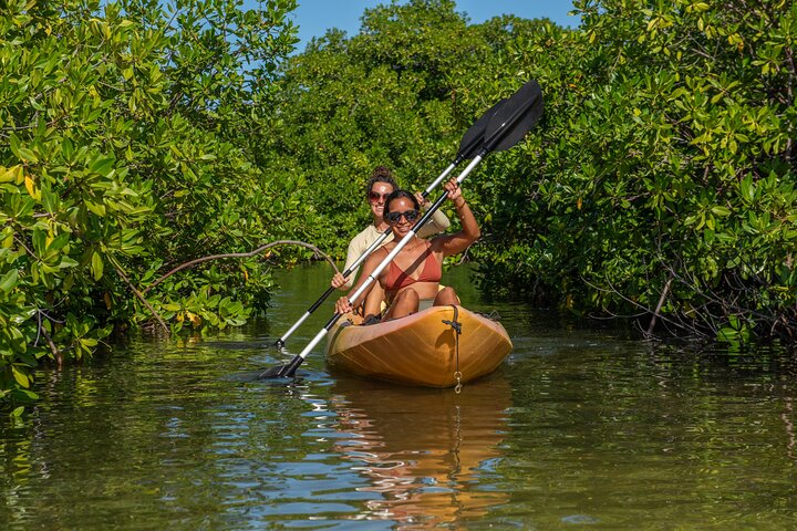 2 Hour Mangrove Kayak and Snorkel Tour