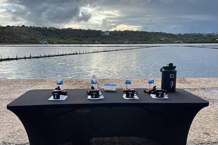 Cultural Salt Picking Experience in Anguilla