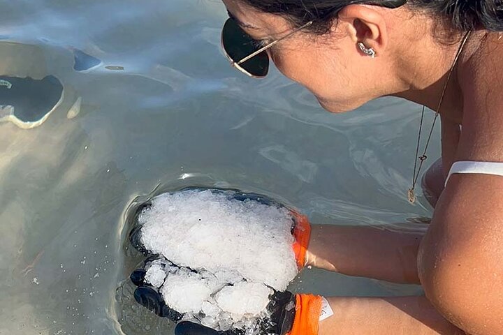 Cultural Salt Picking Experience in Anguilla