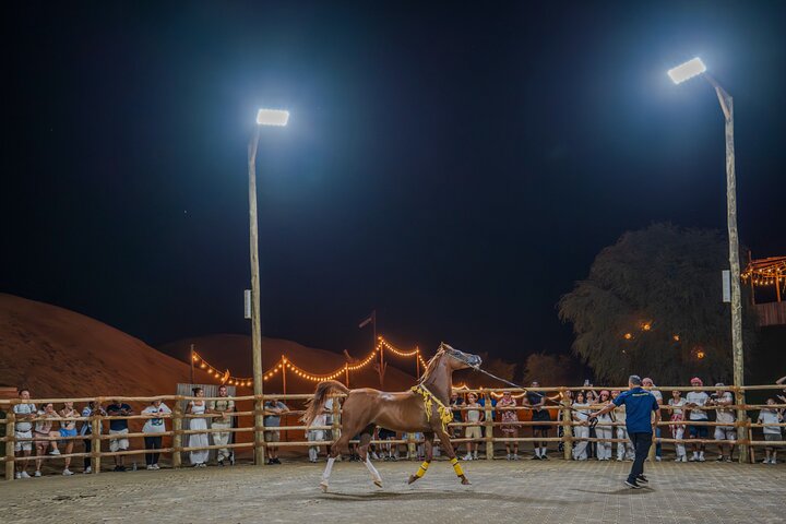 Dubai Red Dunes ATV, Camels, Stargazing & 5* BBQ Al Khayma Camp