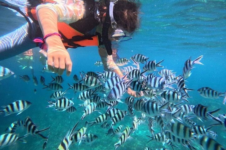 Koh Samui: Angthong National Marine Park 42-Island Speedboat Tour