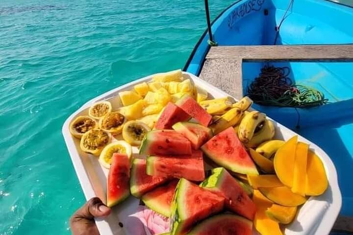 Mnemba Dolphins, Snorkeling & Nungwi Swim With Sea Turtles