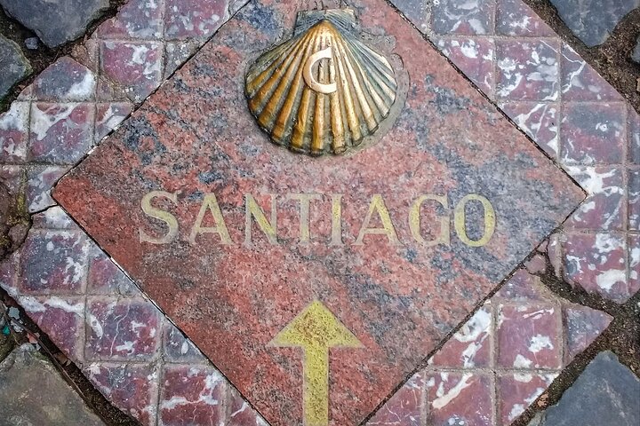 Vigo Santiago de Compostela Shore Excursion with Guide
