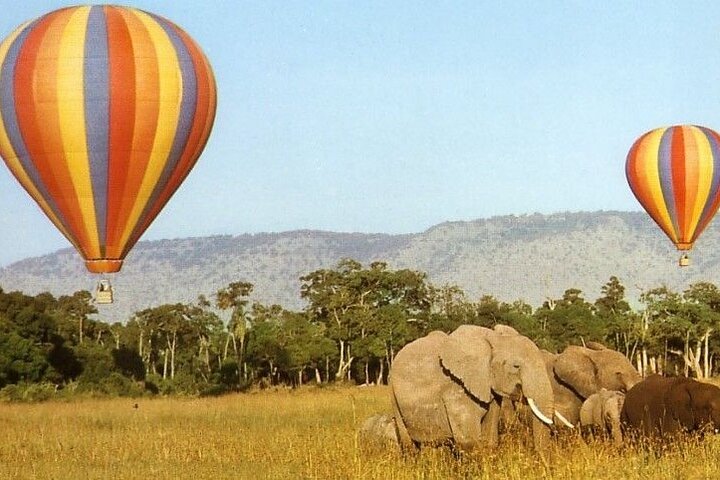 Maasai Mara Hot Air Balloon Safari and Champagne Breakfast