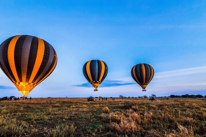 Maasai Mara Hot Air Balloon Safari and Champagne Breakfast