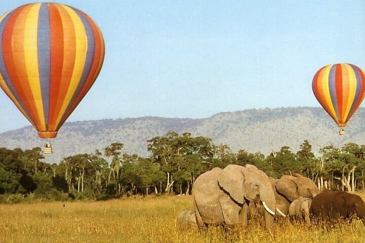 Maasai Mara Hot Air Balloon Safari and Champagne Breakfast