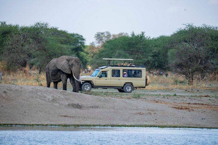 2-Day Tanzania Wildlife Safari from Zanzibar