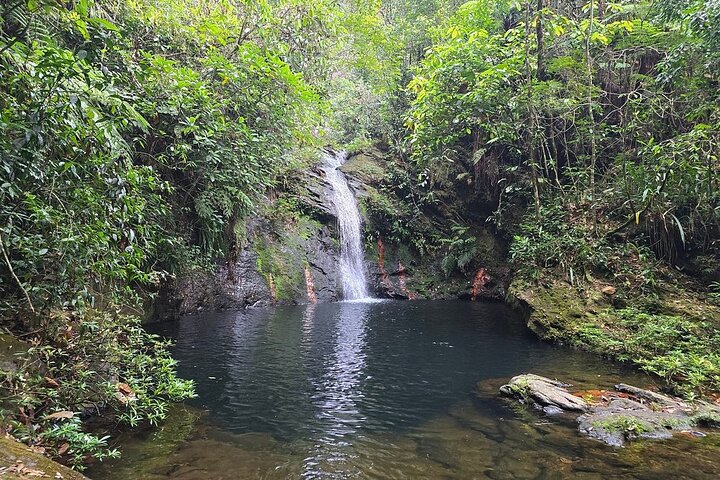 Placencia Jungle Hike and Waterfalls at Cockscomb Jaguar Preserve