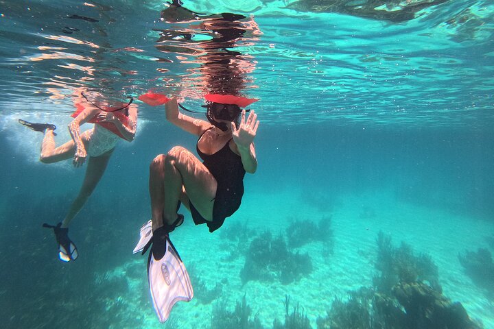 Barrier Reef Snorkeling from Hopkins Village