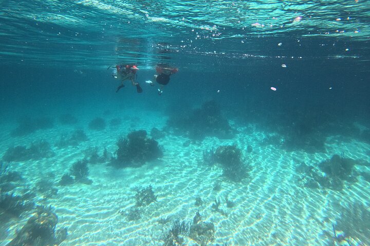 Island Hopping Tour from Hopkins Belize