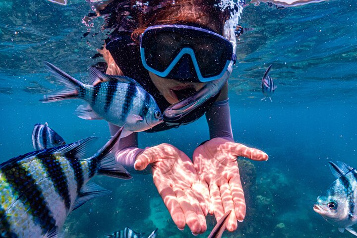 Pattaya Jet Ski Island Hopping Half Day Tour with Snorkeling