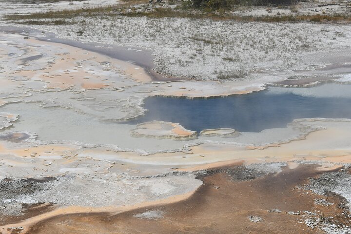 Private Guided Tour in Yellowstone National Park