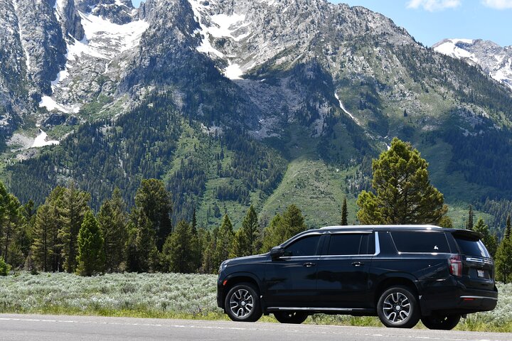 Private Guided Tour in Yellowstone National Park