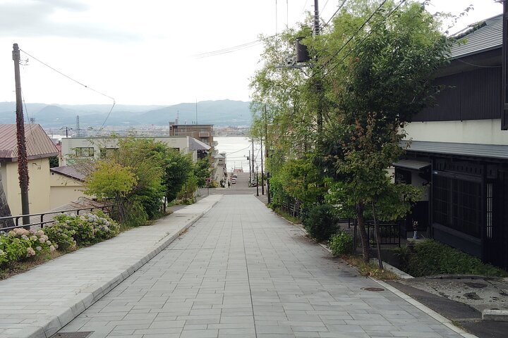 Hakodate: Historic Port Walk & Mt. Hakodate Panoramic Views