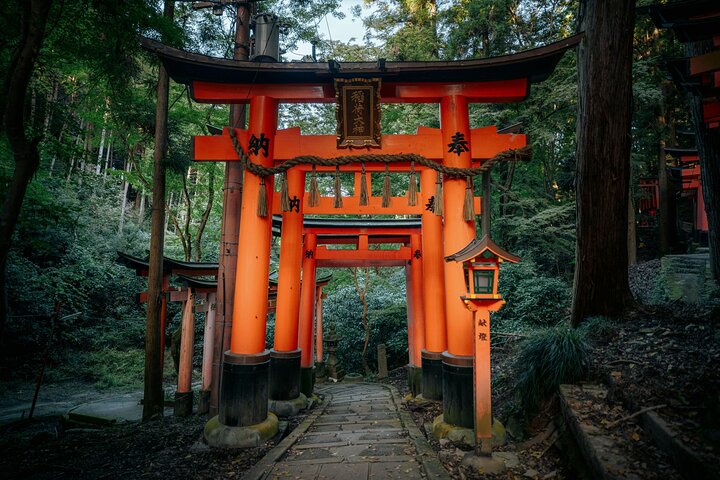 Kyoto and Nara Small Group Tour from Osaka