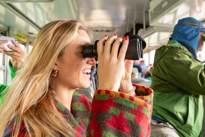 Denali in a Day Sightseeing Package
