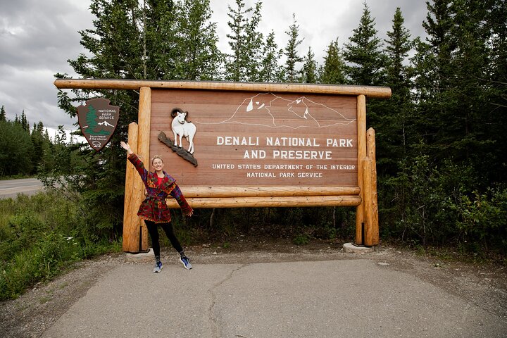 Denali in a Day Sightseeing Package