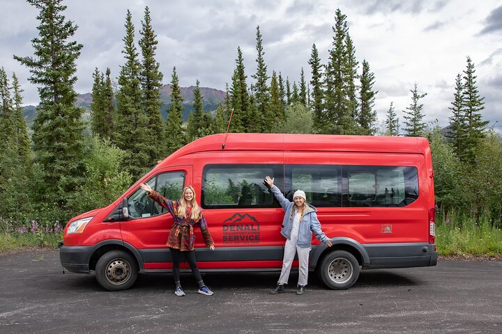 Denali in a Day Sightseeing Package